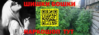 крисы Аргун